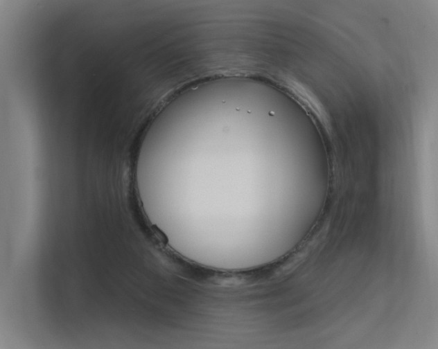 X0000112380113200908131331