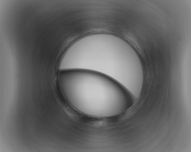 X0000112380116200908131331