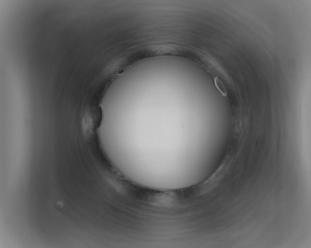 X0000112380124200908131331