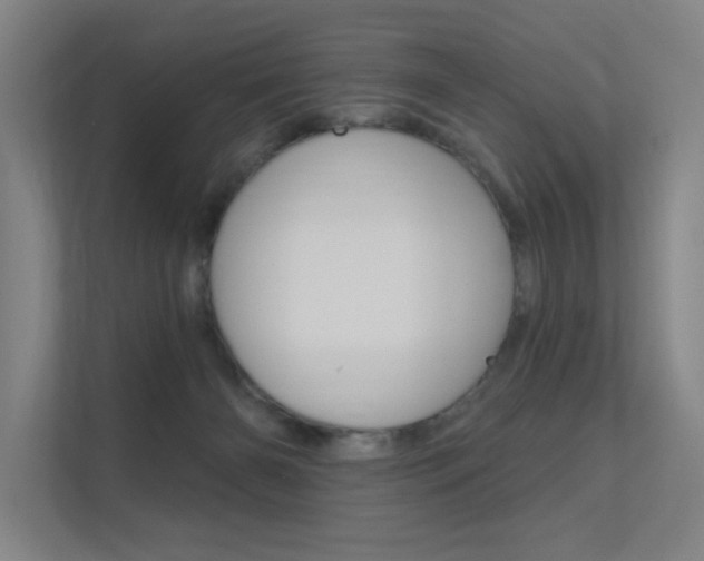 X0000112380126200908131331