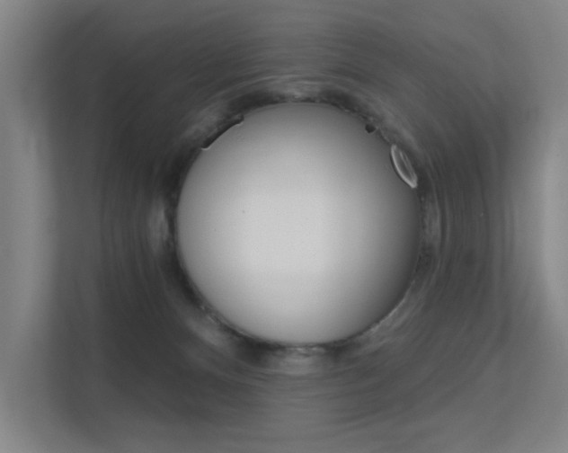 X0000112380128200908131331