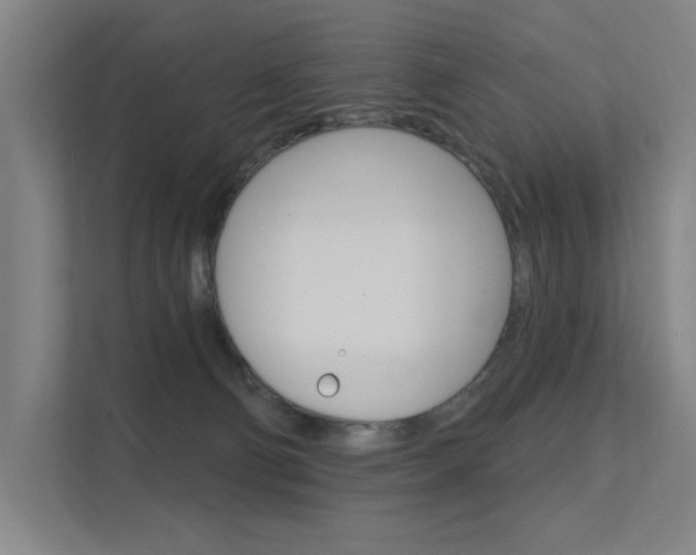 X0000112380130200908131331