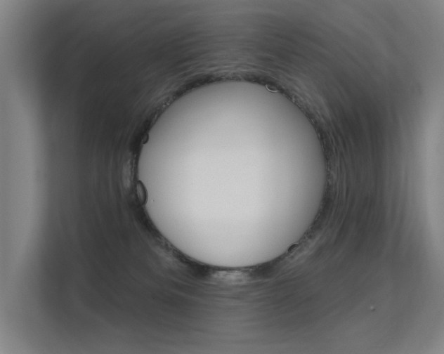 X0000112380133200908131331