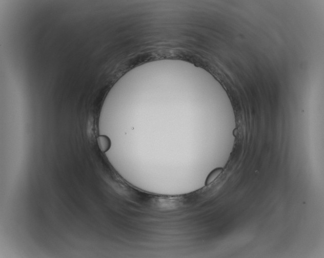 X0000112380134200908131331