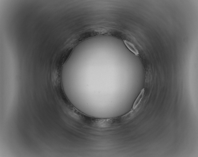 X0000112380136200908131331