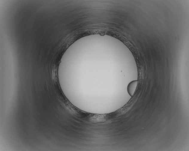 X0000112380138200908131331