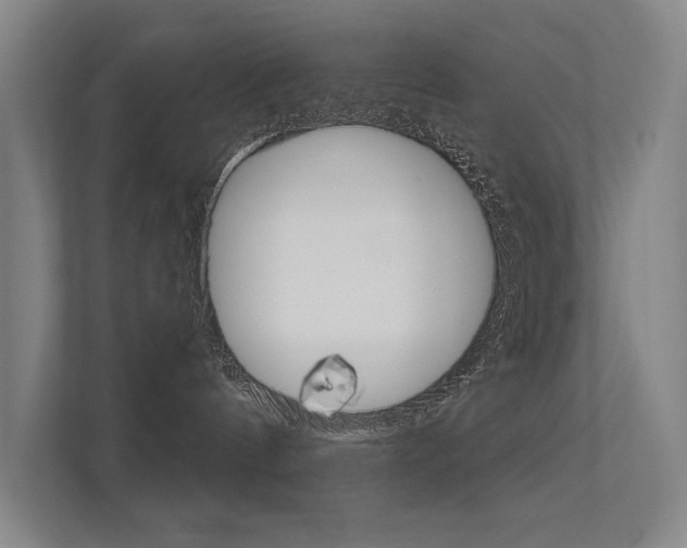 X0000112380144200908131331