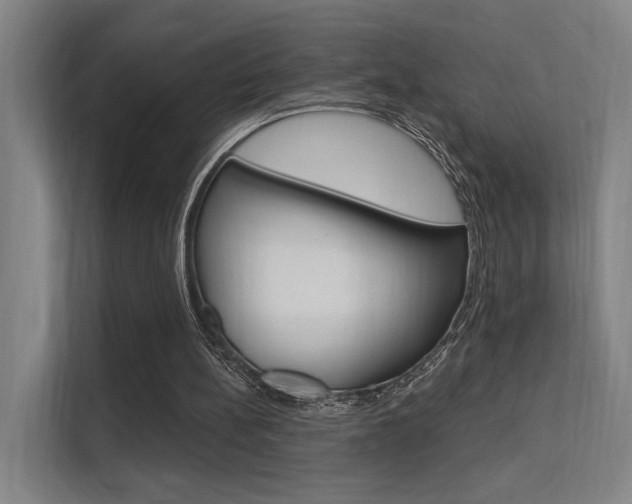 X0000112380148200908131330