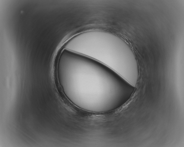 X0000112380150200908131330