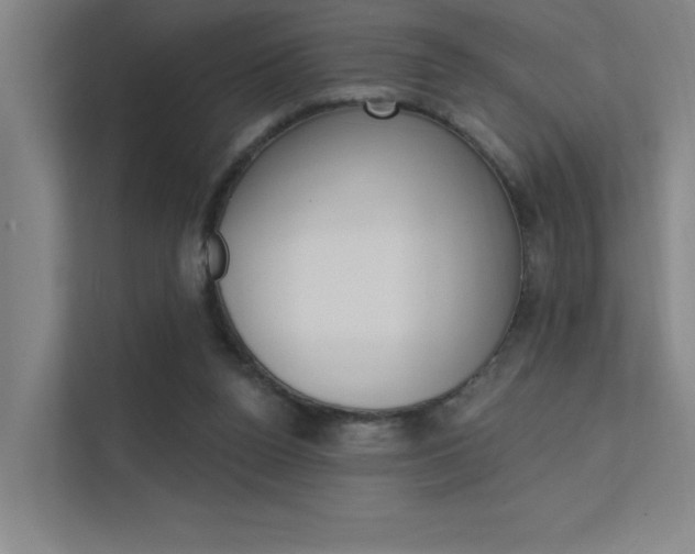 X0000112380160200908131331