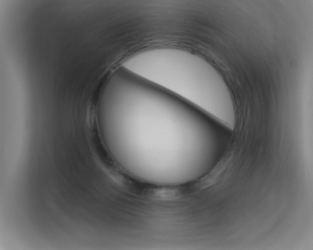 X0000112380168200908131331