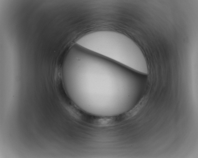 X0000112380172200908131331