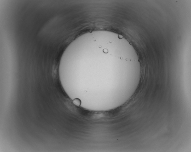 X0000112380177200908131331