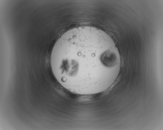 X0000112380179200908131331