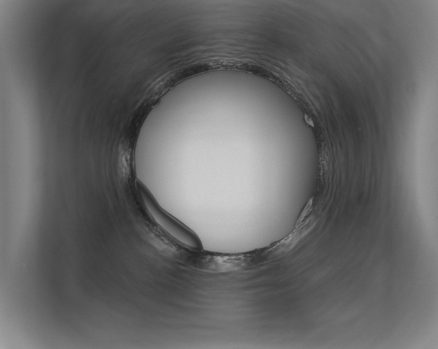 X0000112380188200908131331