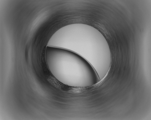 X0000112380190200908131331