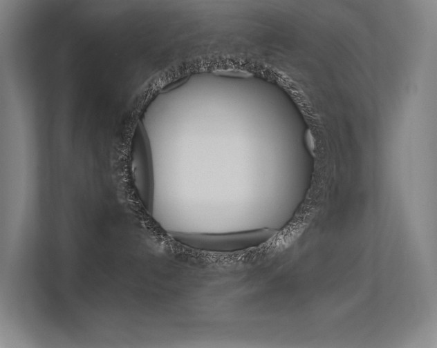 X0000112380192200908131331