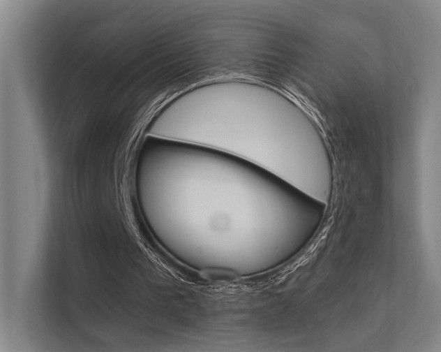 X0000112380193200908131330