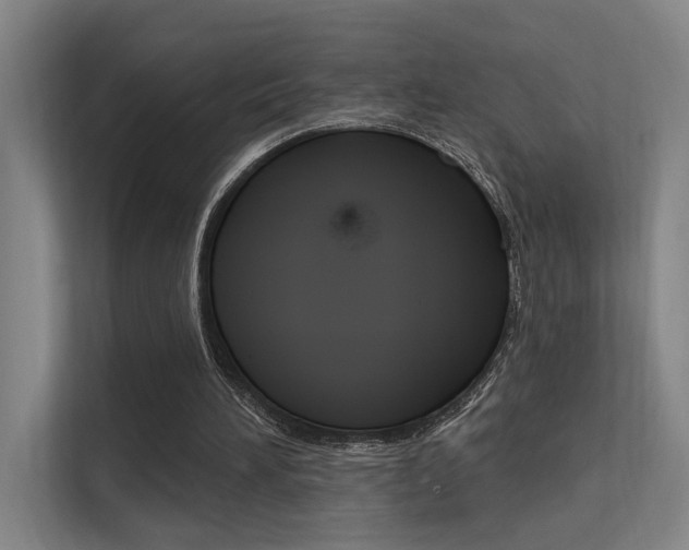 X0000112380196200908131330