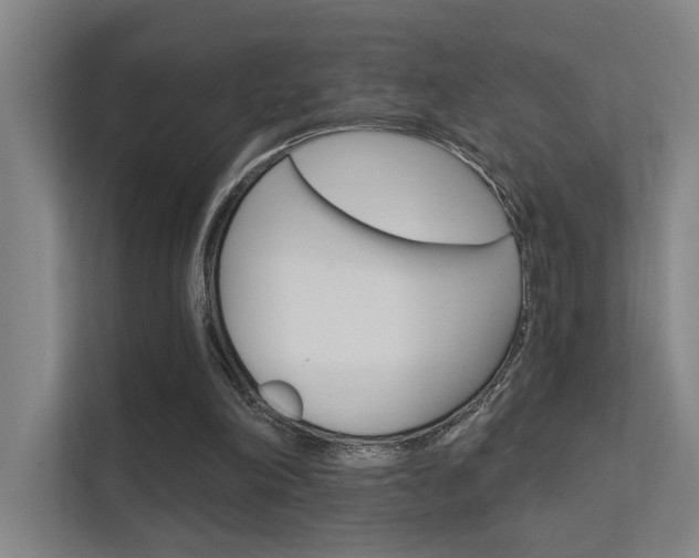 X0000112380198200908131330