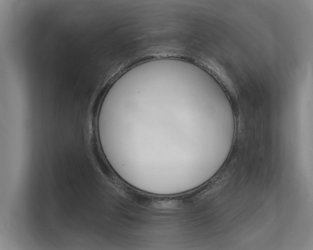 X0000112380202200908131330