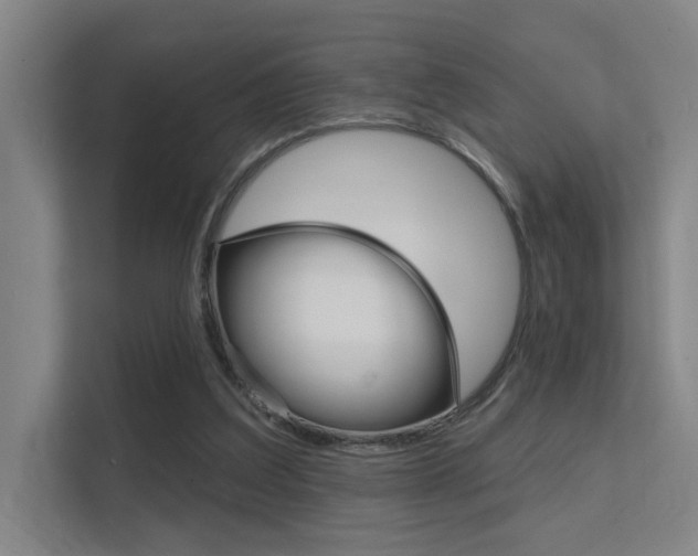 X0000112380203200908131330