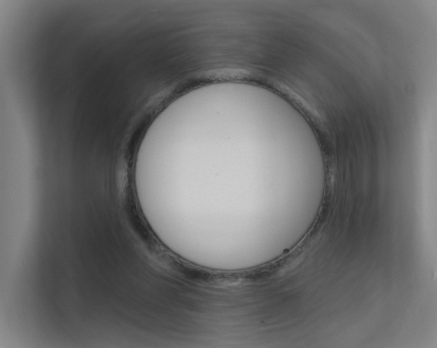 X0000112380206200908131330