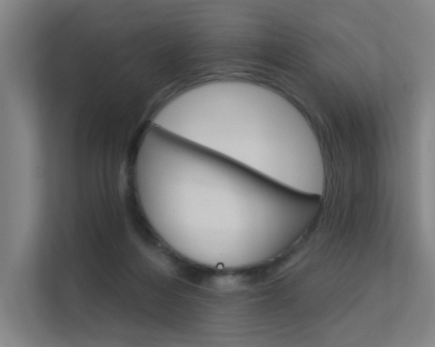 X0000112380216200908131330