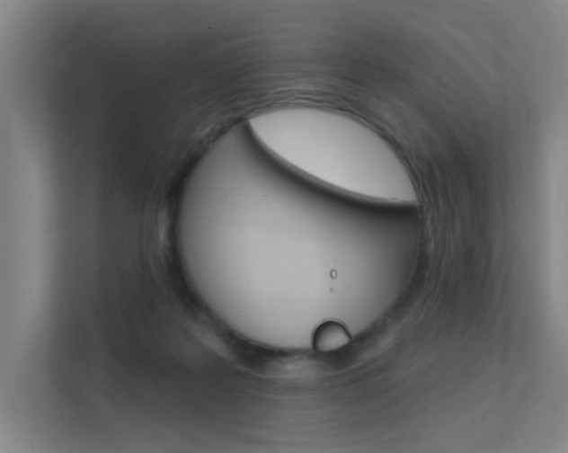 X0000112380219200908131330