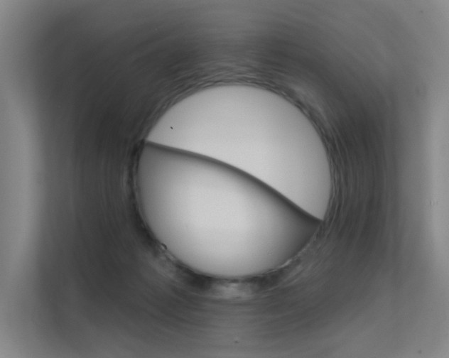 X0000112380221200908131330