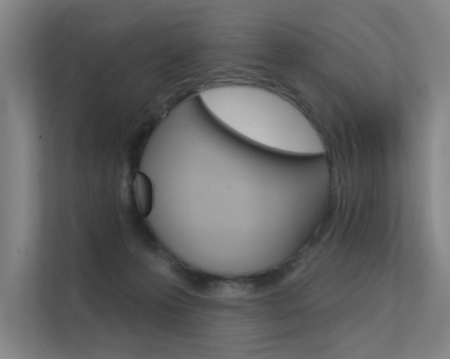 X0000112380223200908131330