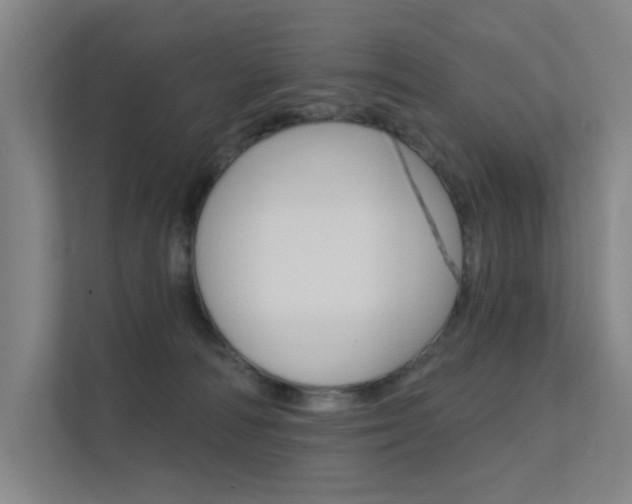 X0000112380226200908131330