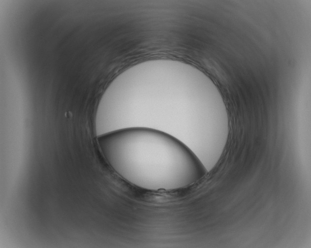 X0000112380229200908131330