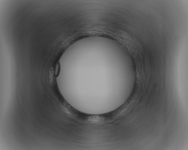 X0000112380231200908131330