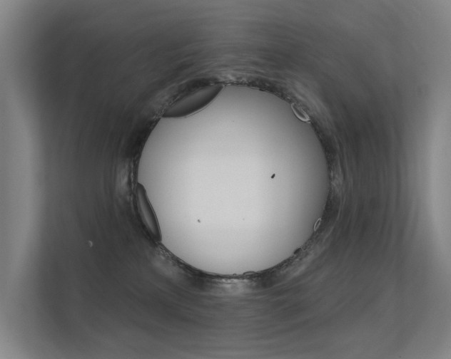 X0000112380233200908131330