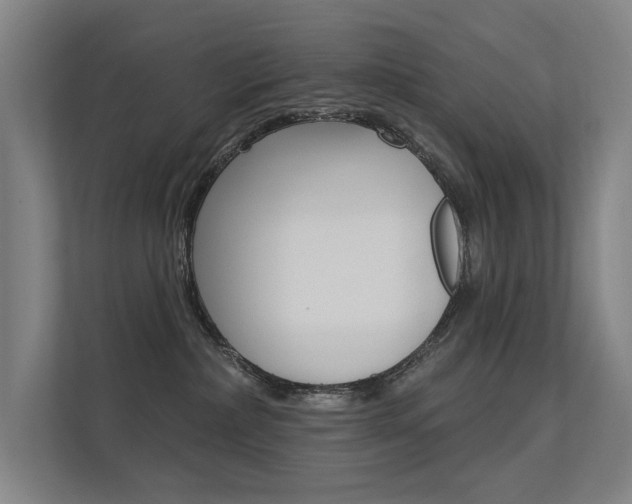 X0000112380236200908131330