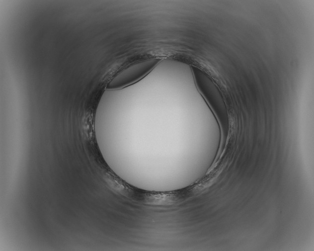 X0000112380237200908131330