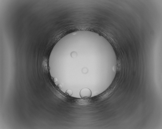 X0000112380238200908131330