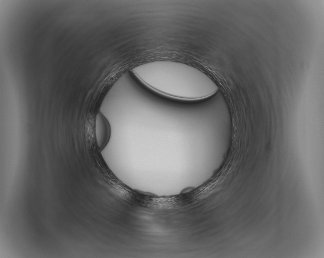 X0000112380240200908131330