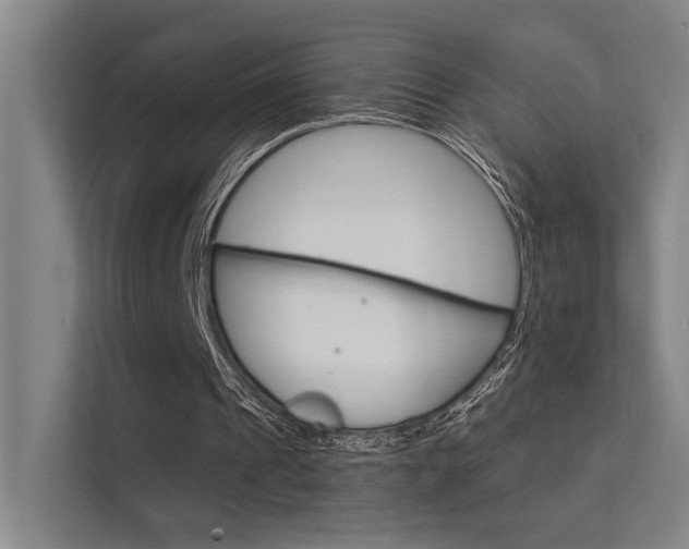 X0000112380241200908131329