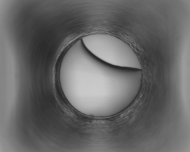 X0000112380242200908131329