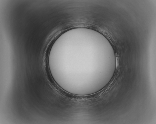 X0000112380243200908131329