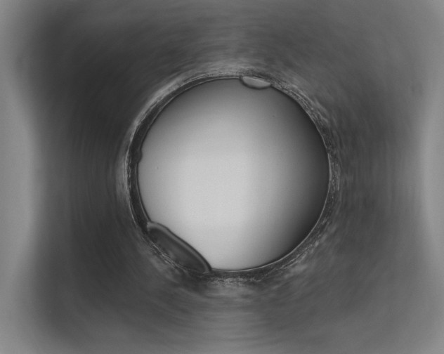 X0000112380244200908131329