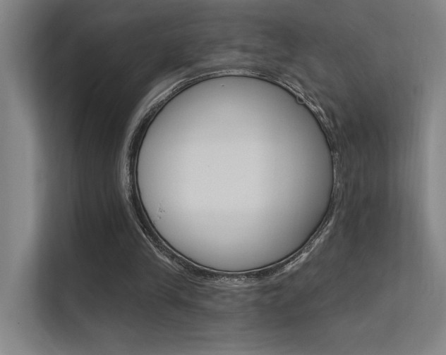 X0000112380245200908131329