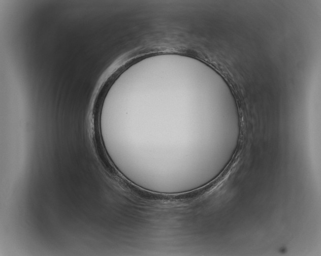 X0000112380246200908131329