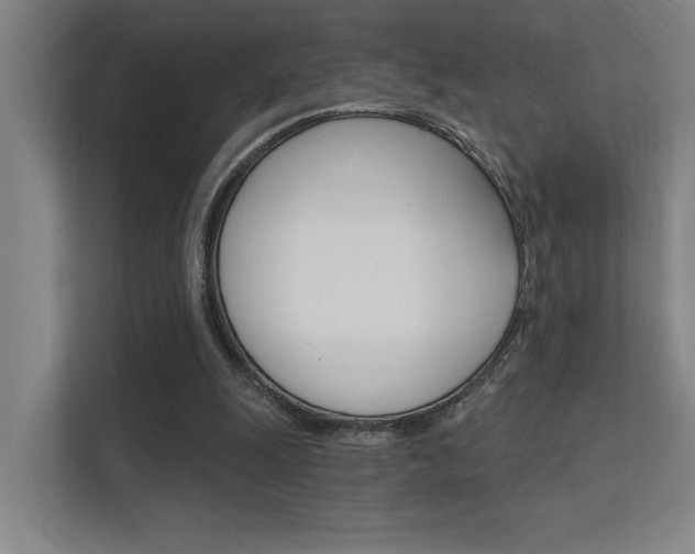 X0000112380247200908131329