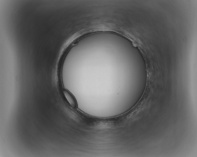 X0000112380248200908131329