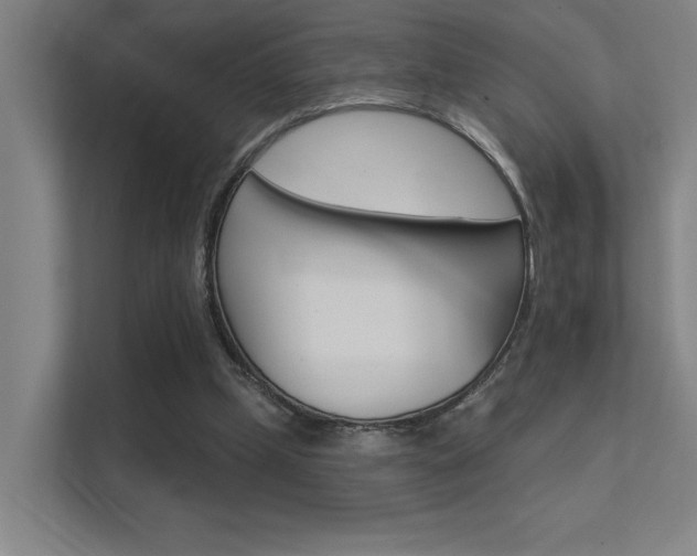 X0000112380249200908131329