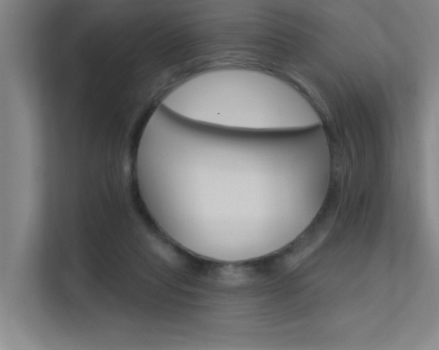 X0000112380261200908131329