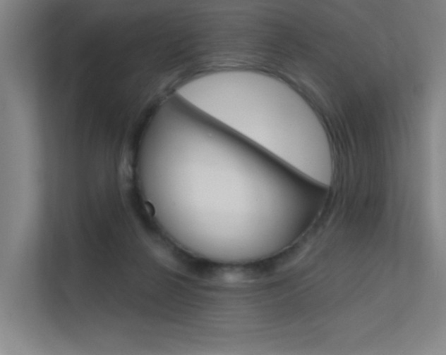 X0000112380264200908131329